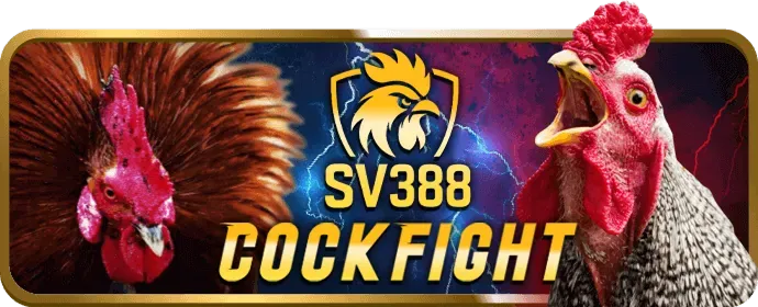 Hoàn trả king33 Nổ Hũ