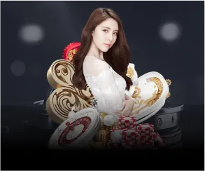 Cookie hiệu suất và phân tích